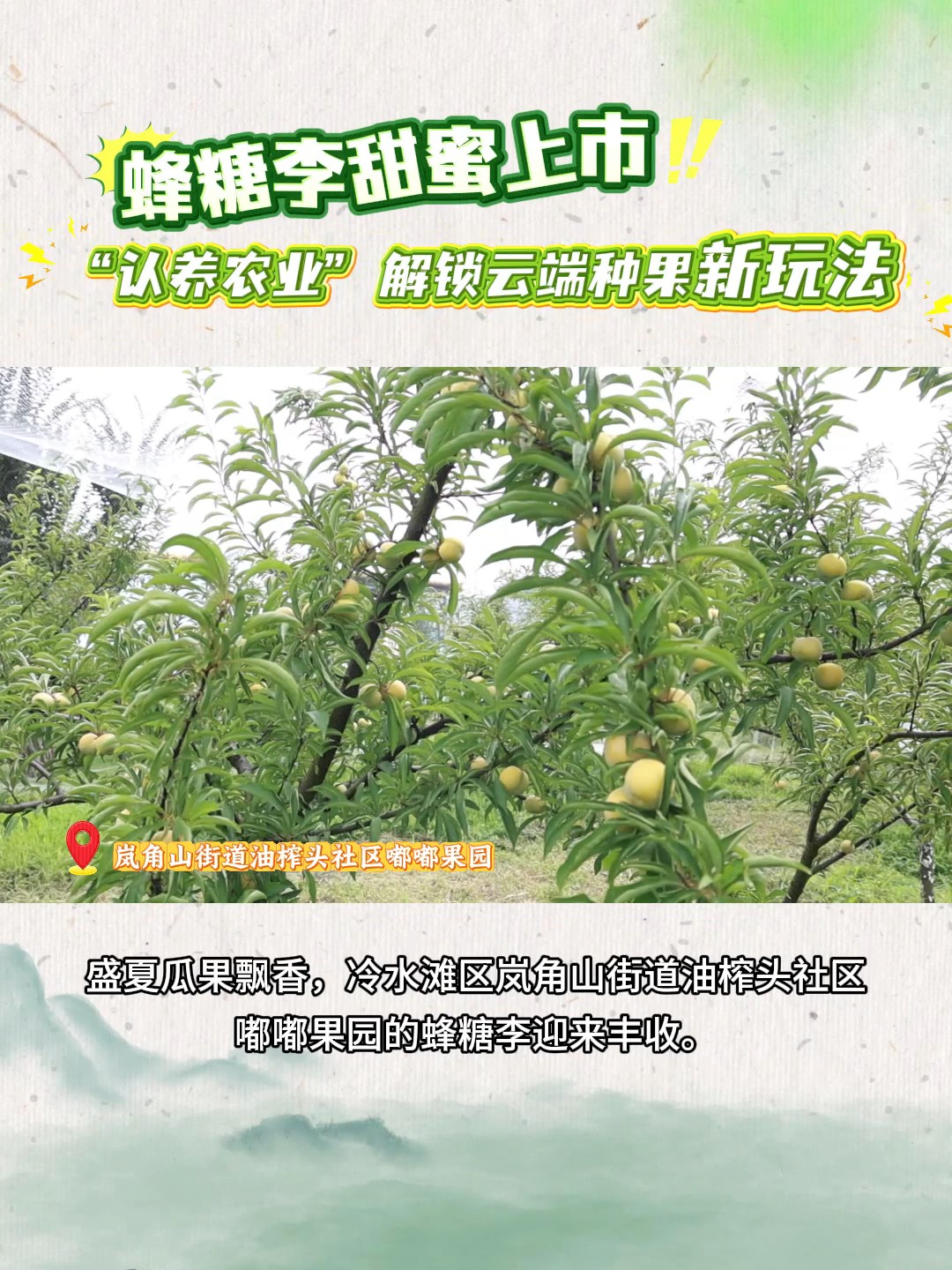 “认养农业”解锁云端种果新玩法