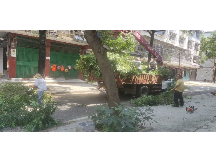 白竹亭社区：酷暑修枝除隐患 美化环境护平安