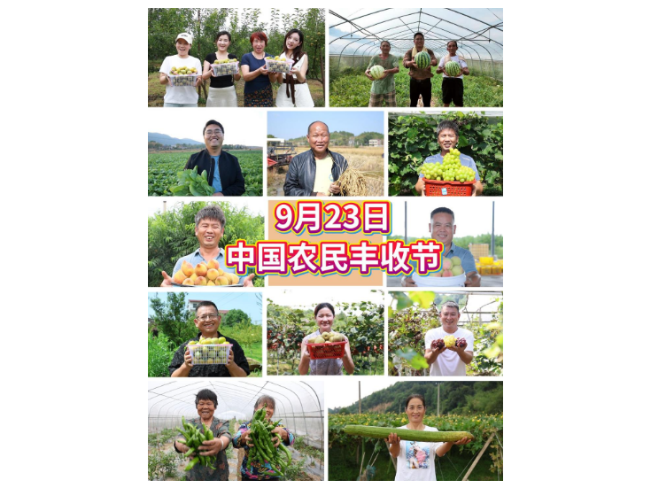 视频丨丰收的笑脸 是秋天最动人的表情包！