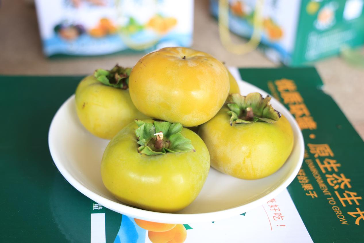 图片0051.png 图片0051.png