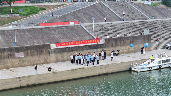 图片b1.png