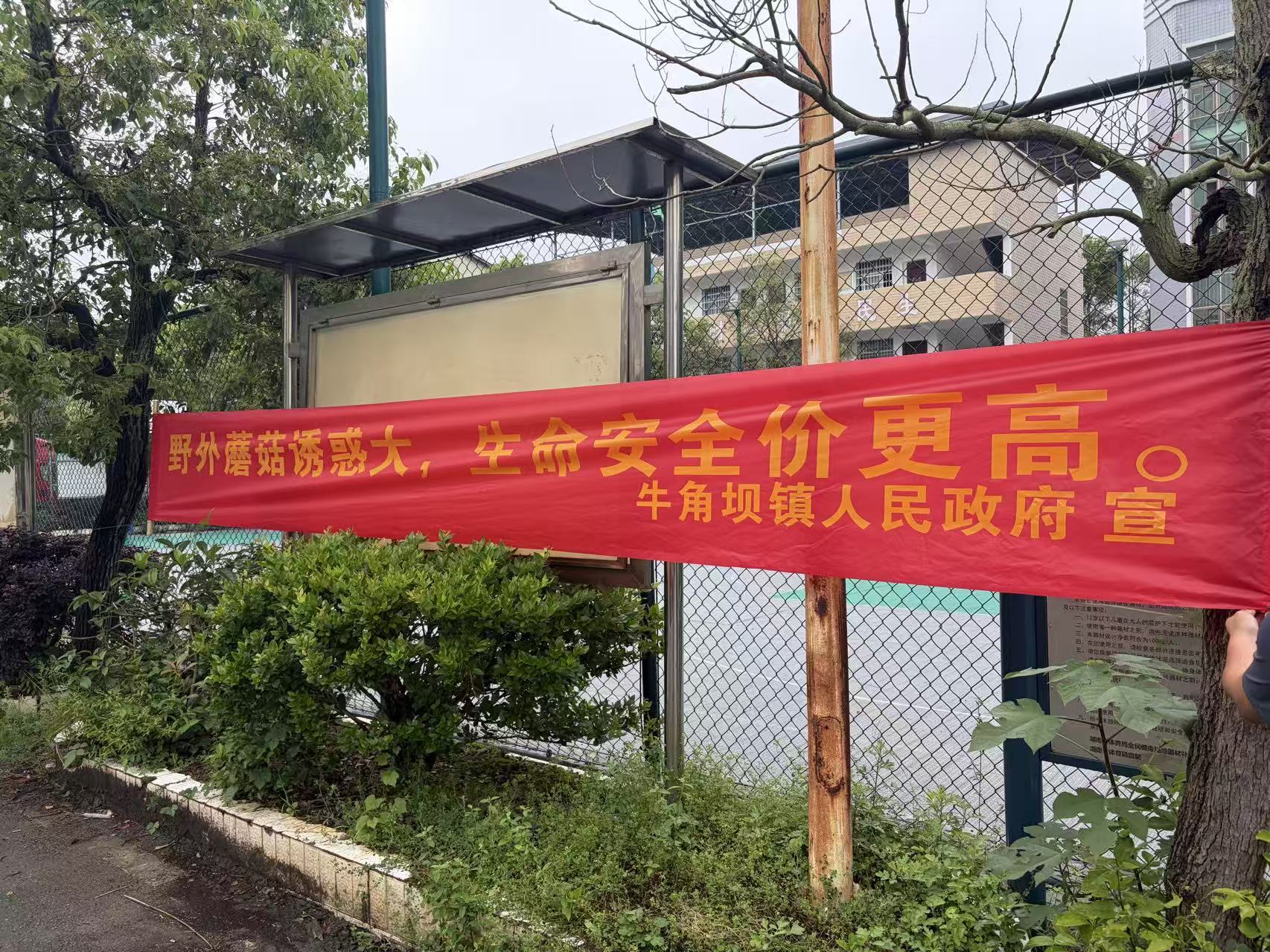 图片2.jpg 图片2.jpg