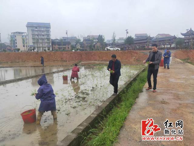 图片9.jpg