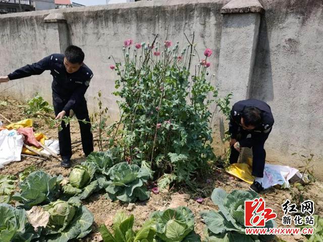 图片7.jpg