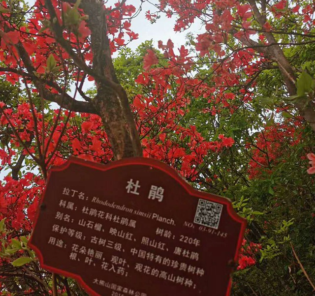 图片7.jpg