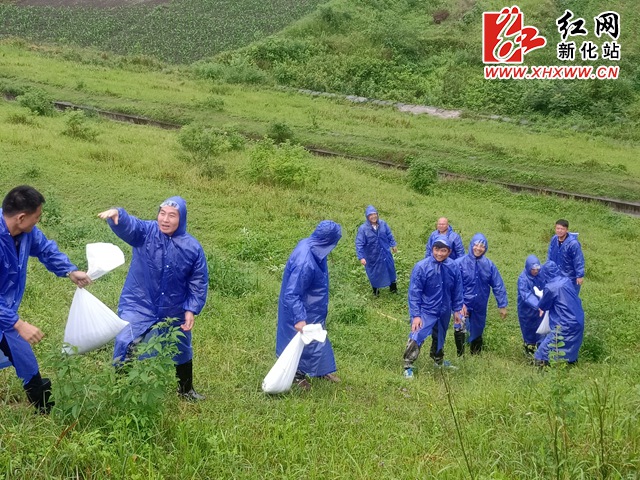 微信图片_20200522100248.jpg