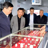 左志锋率队督查园区产业发展 人居环境整治 交通安全 自建房整治等工作