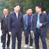 邹喆到荣华乡调研乡村振兴 营商环境等工作