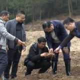 邹谊翔带队到桑梓镇开展“送科技下乡”服务活动  助力乡村振兴