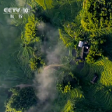 CCTV《地理·中国》 |  紫鹊界梯田·神奇的水源
