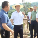 新征程·新样范 | 左志锋率队督查生态修复  安全生产和重点项目建设  开展“夏送清凉”活动