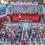茶寿新化·源生自然 | 新化获评“中国茶寿之乡”首创县