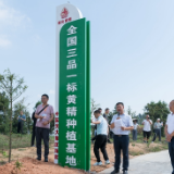 第四届九九黄精节文化节 | 专家学者及经销商 企业代表参观石冲口镇“三品一标”黄精基地