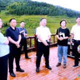 左志锋  查漏补缺 精益求精 以最高标准做好“紫鹊界梯田对话世界”——农耕文化交流互鉴大会筹备工作