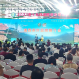 茶寿新化·源生自然 |  新化红茶参展第十五届湖南省茶业博览会