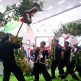 茶寿新化·源生自然  | 新化茶龙引爆茶博会