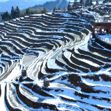 影像新化 | 紫鹊界雪景——美如仙境  瑰丽奇幻