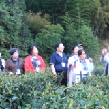 湖南红网娄底论坛采风团到水车镇天渠庄园采风