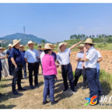 新化高新区向红工业园化工片区新设立专家评审会议召开