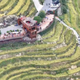 紫鹊界梯田成热门旅游打卡地 景区交通井然有序