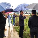 娄底市自然资源和规划局到维山乡调研“村播基地”建设工作