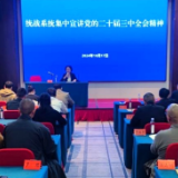 新化县委统战系统宣讲党的二十届三中全会精神