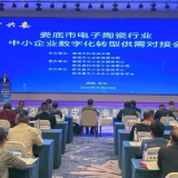 娄底市电子陶瓷行业中小企业数字化转型供需对接会在新化举行