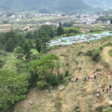 欢度国庆 | 曹家镇观音山知青农场  瓜果飘香带热乡村游