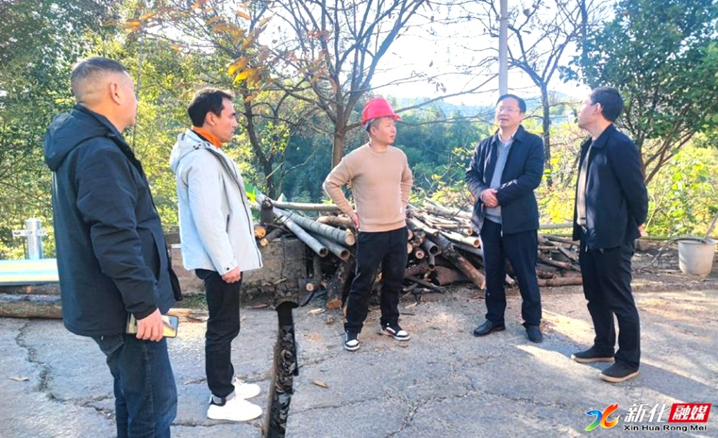 邹谊翔到维山乡 石冲口镇督查公路安防工程建设