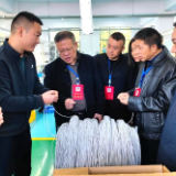新化县政协视察全县人社就业工作