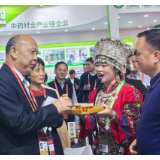 新化红茶组团亮相第二届链博会