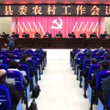 新化县委农村工作会议召开  奋力推动“三农”工作高质量发展