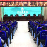 新化县召开黄精产业工作部署推进会议