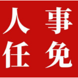 新化县人民代表大会常务委员会关于接受左志锋辞去新化县人民政府县长职务的决定