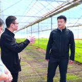 彭韬到各乡镇调研 要守牢安全发展底线 做好“三生”文章 推动经济社会高质量发展