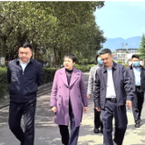 陈国聪到曹家镇督查安全生产等重点工作