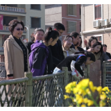 省党外知识分子同心服务团到新化县开展社会服务活动