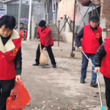 学雷锋•文明实践我行动 | 田坪镇退休老干部开展学雷锋志愿活动
