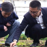 代表委员履职故事 | 邹辉：为新化黄精产业高质量发展和乡村振兴献策献力