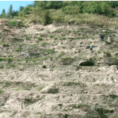 紫鹊界茶旅文融合乡村振兴示范区建设典型经验（2）| “小积分”兑出“大文明”