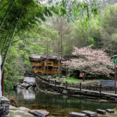 新化县奉家镇：隐世古村落深藏唯美云海茶山