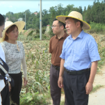 省农业农村厅来新指导灾后恢复生产工作