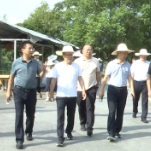 娄底市人大常委会开展紫鹊界梯田梅山龙宫风景名胜区保护条例执法检查