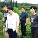 防汛救灾进行时 | 陈国聪到曹家镇督查防汛救灾工作