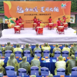 “ 魅力油溪 夏日出‘桃’ ”  | 2024油溪·中联第二届黄桃旅游节开幕