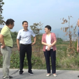 陈国聪到新化县天马水泥公司开展“两重”“两新”送解优专项行动