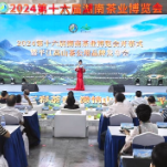 因茶得寿·因寿而茶 | 新化红茶组团参加2024第十六届湖南省茶业博览会