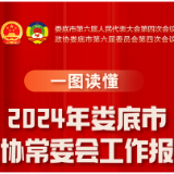 一图读懂丨2024年娄底市政协常委会工作报告