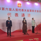 “委员通道”（一）