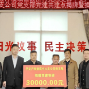 洋溪镇官渡桥村党总支部与平安产险娄底中心支公司党支部党建共建点揭牌